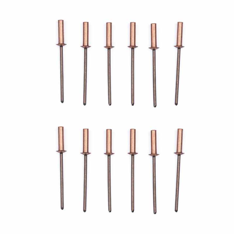 MSS Mamod Loco Spares - Copper Rivets for MSS and Mamod Boiler (12)